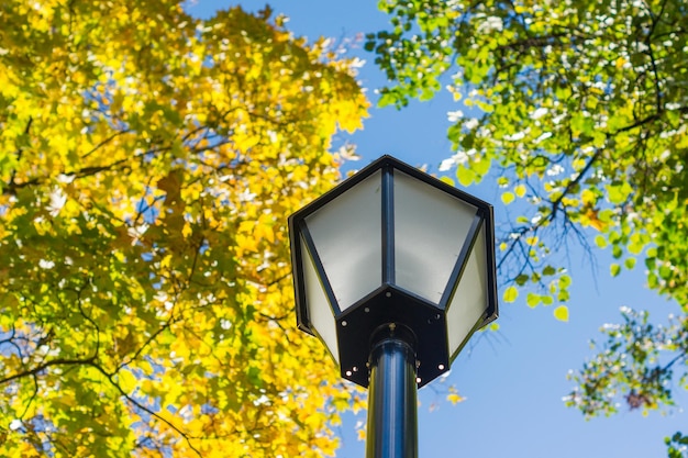 La luz de la calle en el parque