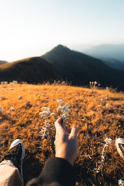 Luz da manhã e montanhas, montanhas na manhã de verão e flores da primavera