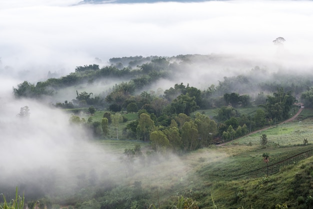 Luz da manhã nas montanhas enevoadas