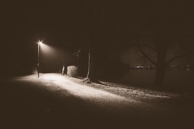 Foto luz da rua iluminada à noite