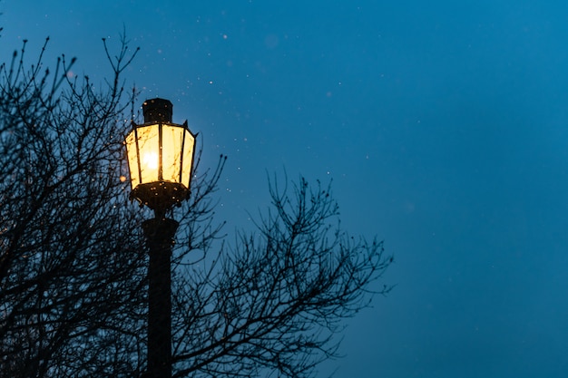 Luz de rua, estilo gótico do vintage com espaço da cópia