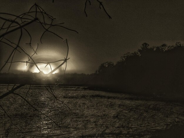 Luz de rua iluminada contra o céu à noite