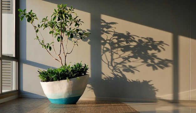 Luz do sol brilhando através da parede de vidro com planta decorativa dentro da sala de estar