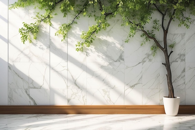 Luz do sol de primavera no ramo verde da árvore com sombra na parede de azulejos de mármore branco mesa de madeira espaço de cópia