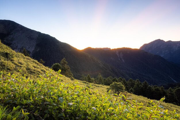 Foto luz do sol sobre a montanha de hehuanshan