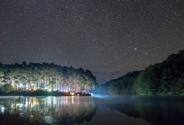 La luz escénica del bosque de pinos brilla en el embalse al amanecer