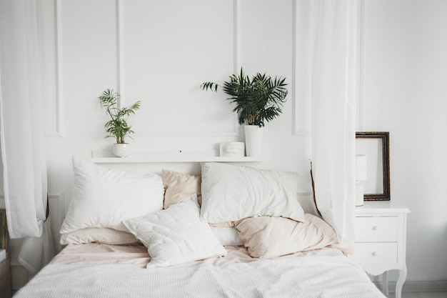 Luz interior de acogedora habitación de diseño moderno con almohadas y plantas