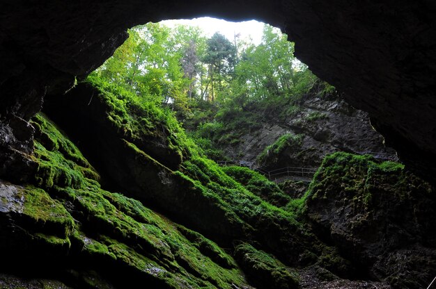 Luz na entrada da caverna