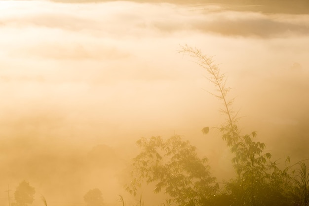 La luz naranja de la mañana con una tenue niebla