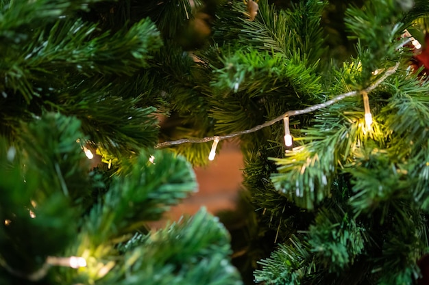 Luz de Navidad decorada sobre fondo de vacaciones de año nuevo de abeto