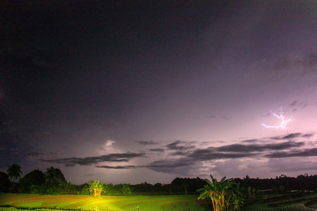 Luz de relámpago en la noche sobre campos de arroz verde