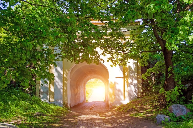 Luz de salida de bosque y arco de piedra. Luz al final del túnel.