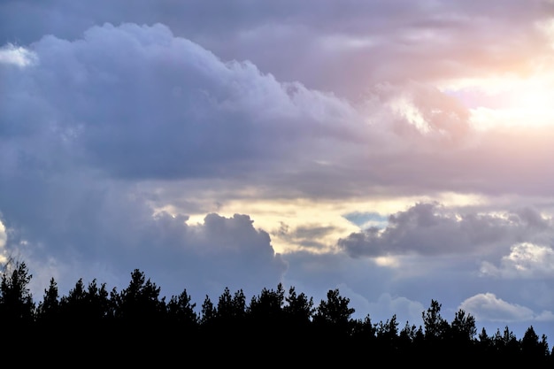 La luz del sol atravesando la brecha en las nubes de tormenta contra el bosque de pinos de silueta oscura