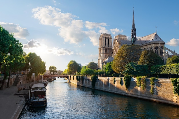 Luz del sol en Notre Dame de Paris al amanecer, Francia