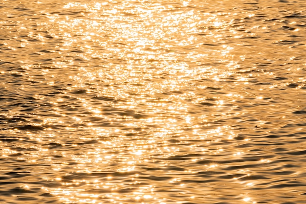 La luz del sol refleja el río en la mañana