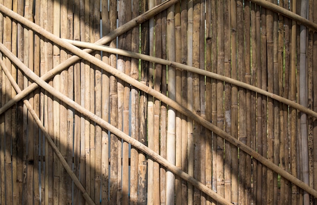 Luz solar na parede de bambu