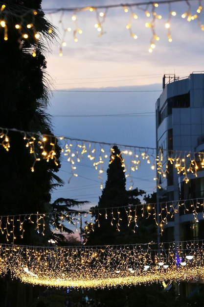 Luzes da árvore de natal ao ar livre.
