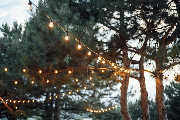 Luzes de corda decorativas para exteriores penduradas em uma árvore no jardim à noite