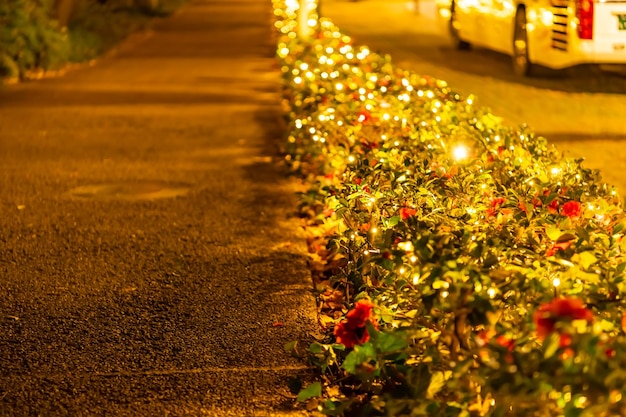 Foto luzes de natal iluminadas na calçada à noite