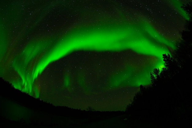 Luzes verdes brilhantes da aurora boreal