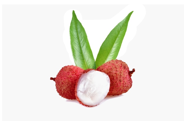 Lychee mit Blättern auf weißem Hintergrund