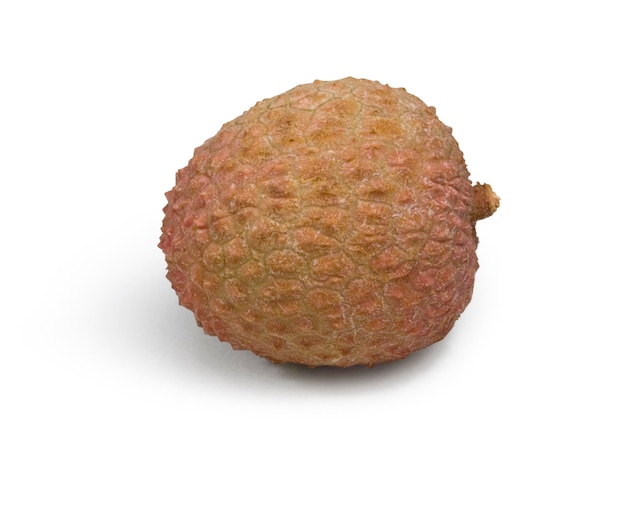 Lychee y sus derivados