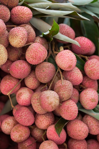 lychee