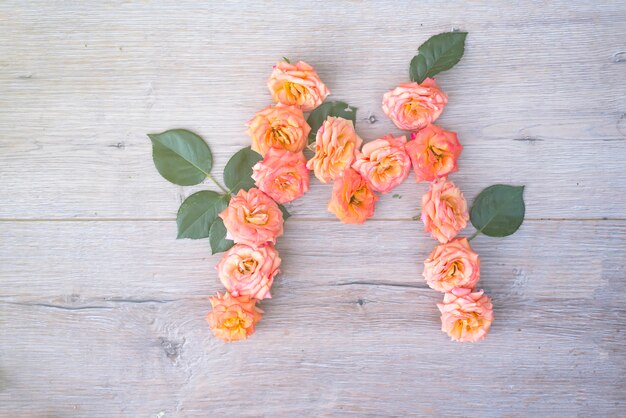 M, Rosenblumenalphabet lokalisiert auf grauem hölzernem Hintergrund, flache Lage