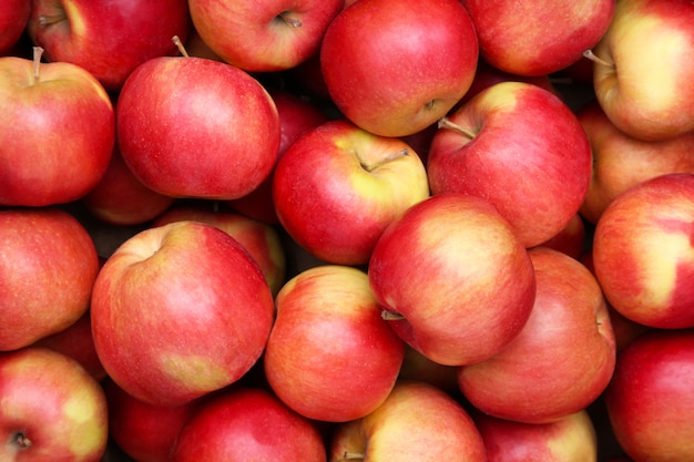 Foto maçã do close-up, fruta vermelha da maçã.