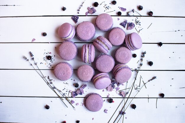 Macaron francês doce