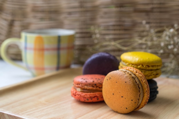 Macaron ou Macaroon Colorido