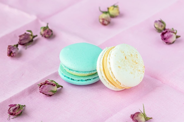 Macarones sobre fondo rosa.