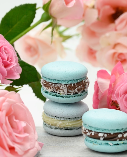 Macarons azules se encuentran sobre una superficie de rosas rosadas, cerrar