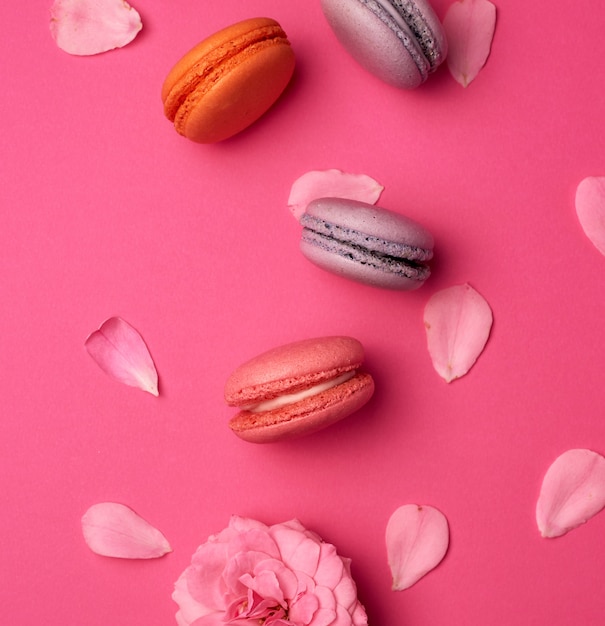 Macarons doces multicoloridos com creme e um botão de rosa com pétalas espalhadas