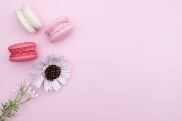 macarons en fondo rosado, postre hermoso