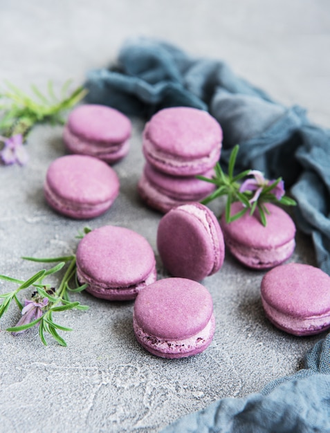 Macarons franceses com sabor de lavanda