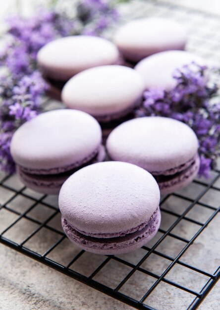 Macarons franceses con sabor a lavanda y flores frescas de lavanda