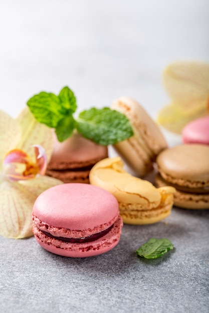 Macarons franceses sortidos