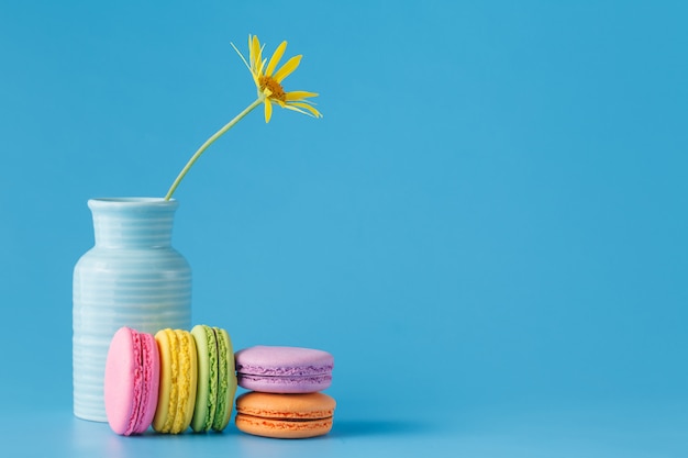 Macaroon colorido francês com flor