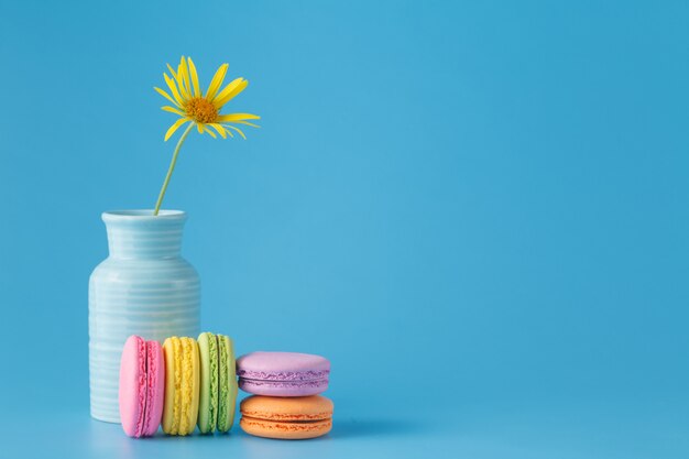 Macaroon colorido francês com flor