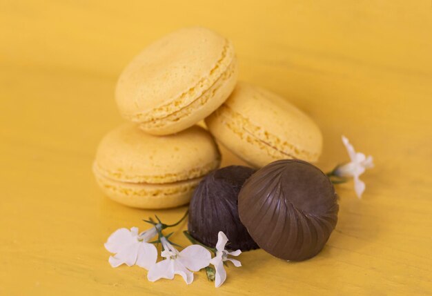 Macaroons com chocolate e delicadas flores brancas em um fundo amarelo