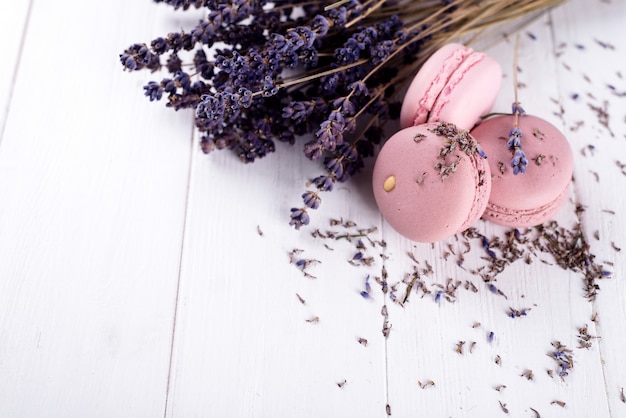 Macaroons de lavanda doce