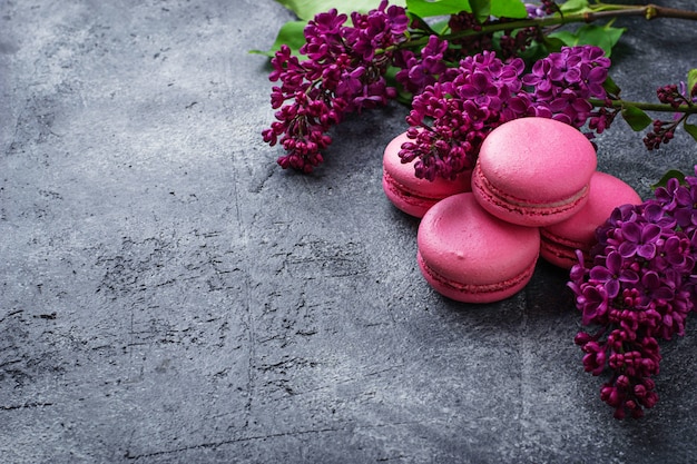 Macaroons e lilás cor-de-rosa.