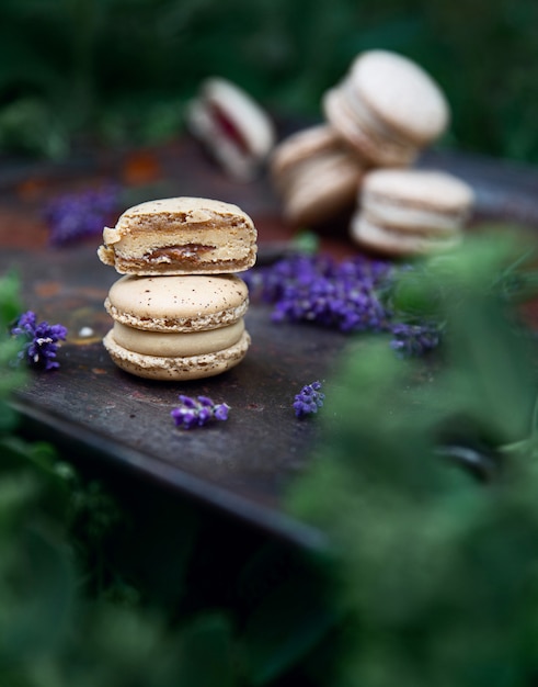 Macaroons em uma velha assadeira e flores de lavanda como decoração entre arbustos verdes