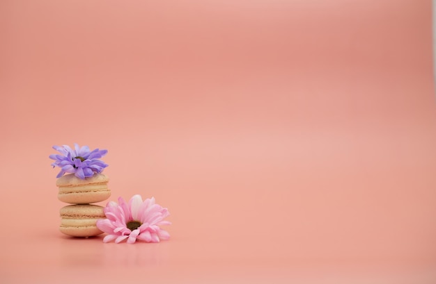 Macarrão redondo lindo doces com flores em um fundo rosa