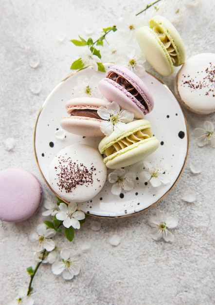 Macarrones dulces franceses colorida variedad sobre una superficie de hormigón con flor de primavera