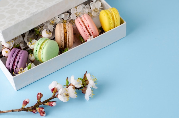 Macarrones frescos en una caja de regalo con flores de albaricoquero en azul pastel