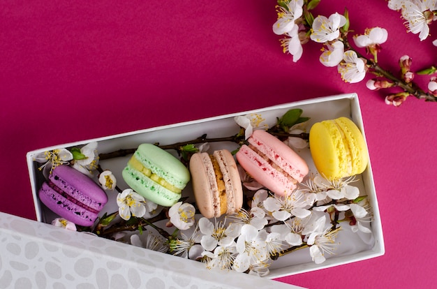 Macarrones frescos en una caja de regalo con flores de albaricoquero