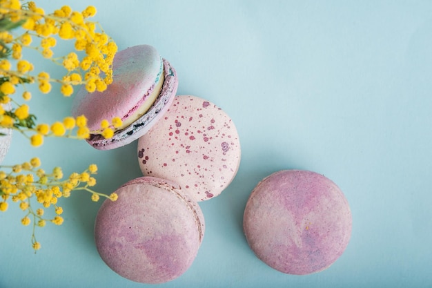 Foto macarrones rosados y ramas de mimosa en primer plano de fondo azul y espacio vacío