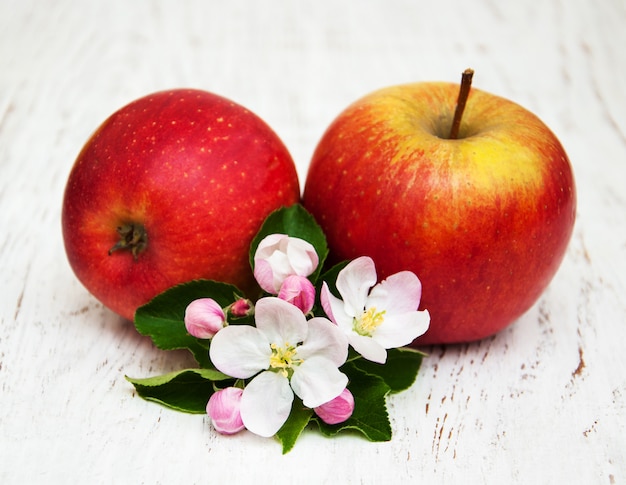 Maçãs e flores de macieira